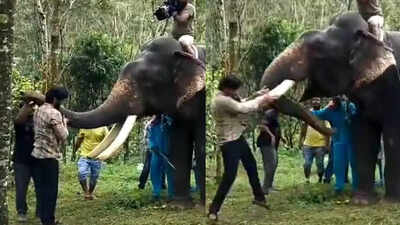  Actor Mathi’s daring encounter with elephant leaves fans stunned- Watch