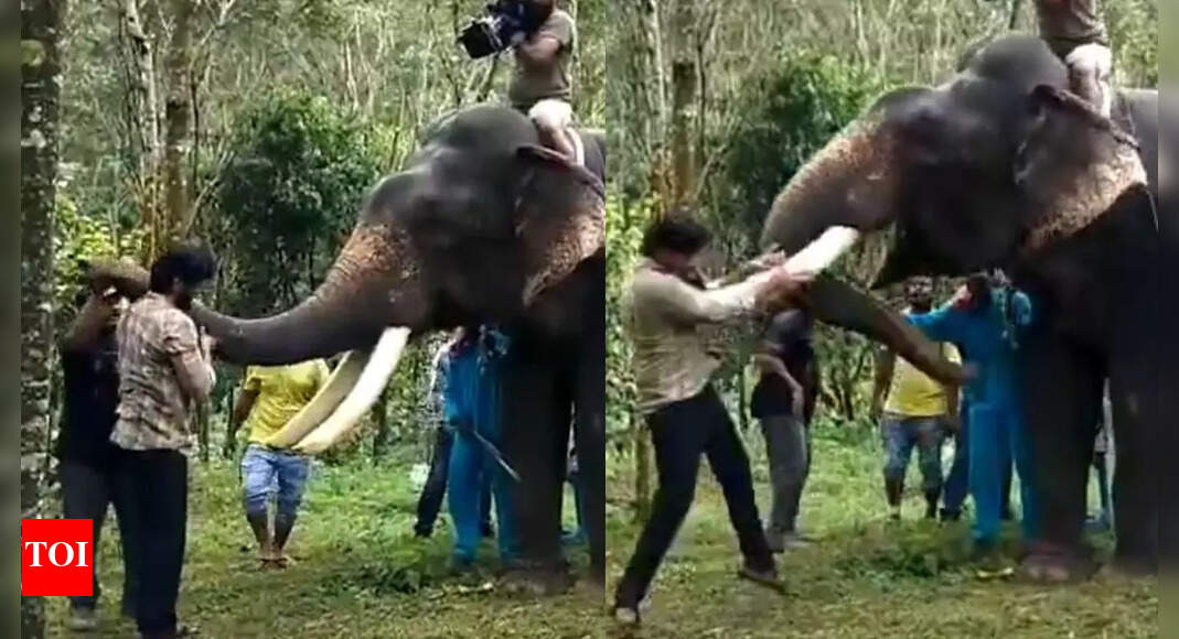 'Kumki 2' BTS video: Actor Mathi’s daring encounter with elephant leaves fans stunned- Watch