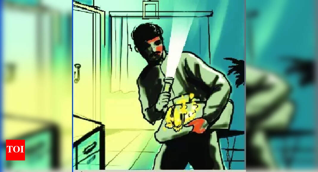 2 men held for stealing woman’s bag at Baga