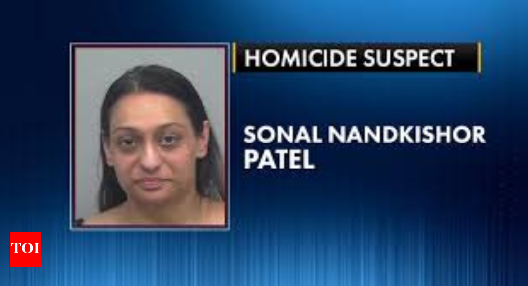 <div>'Hadn't slept for two days before accident': Indian-origin woman jailed for 7 years for Georgia crash, was drunk and driving with suspended license</div>