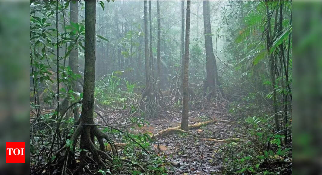 Karnataka’s Myristica swamps to get biodiversity heritage tags in 4 months: Task force chief