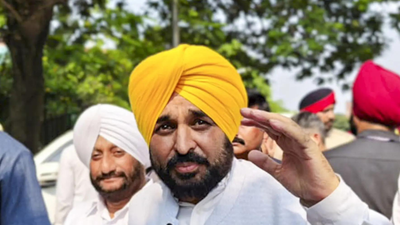 Punjab observes November as Martyrdom Remembrance Month to mark Guru Tegh Bahadur’s 350th anniversary; hosts kirtans, seva camps