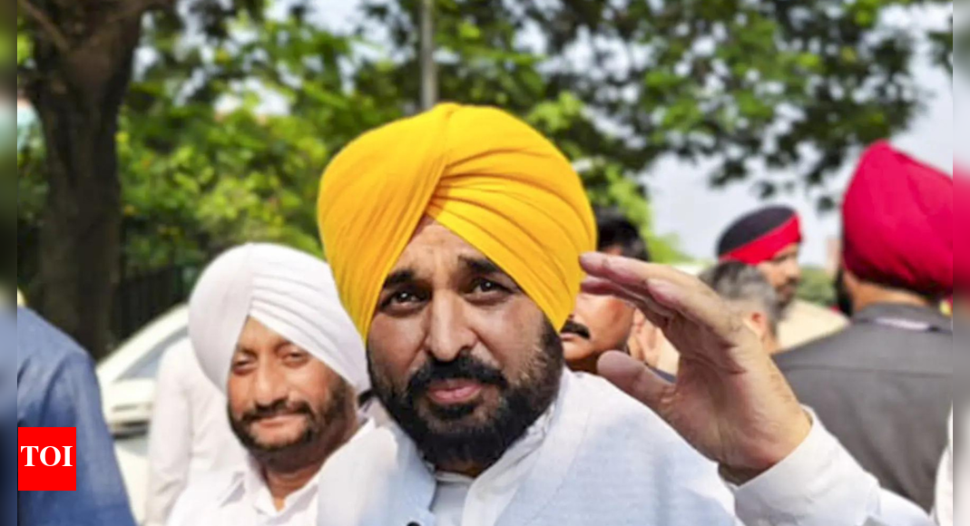 Punjab observes November as Martyrdom Remembrance Month to mark Guru Tegh Bahadur’s 350th anniversary; hosts kirtans, seva camps