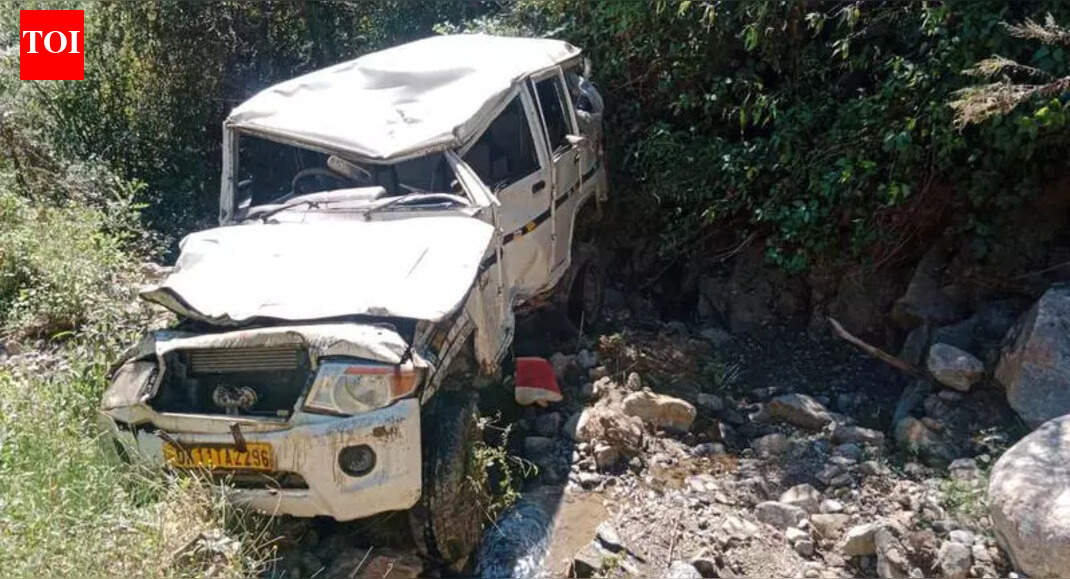 1 killed, 2 injured as car falls into gorge in Chamoli | Dehradun News ...