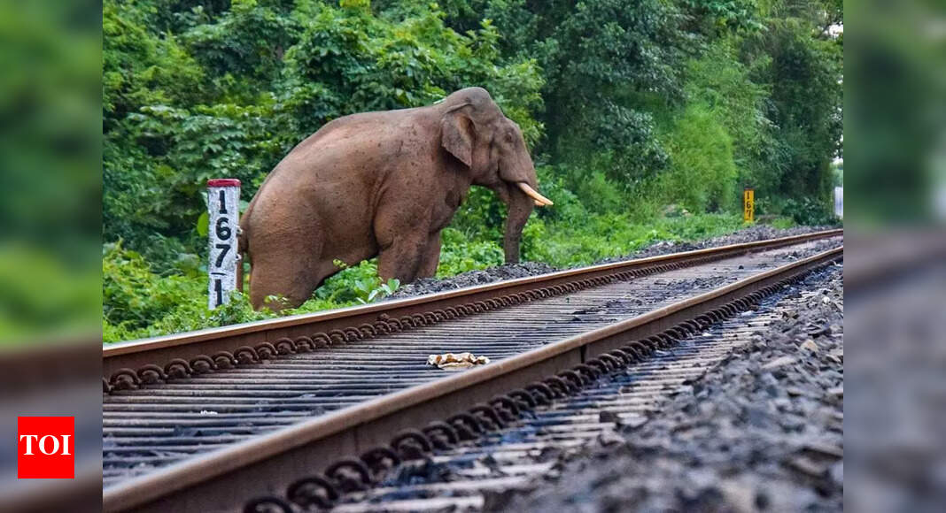 Alert NFR loco pilots saved 7 jumbos from collision in October