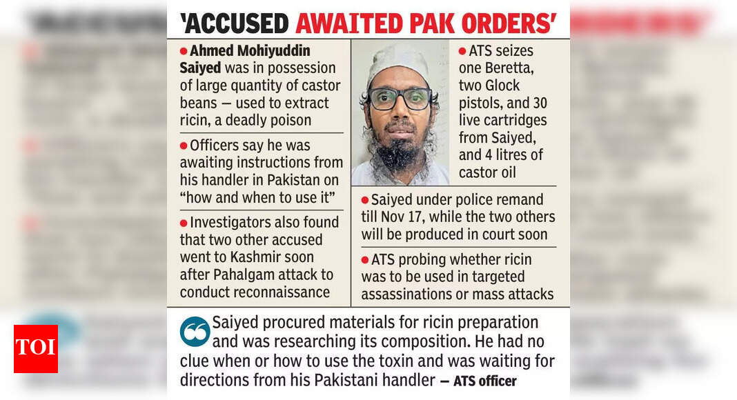 The Times of India - Other - News Image