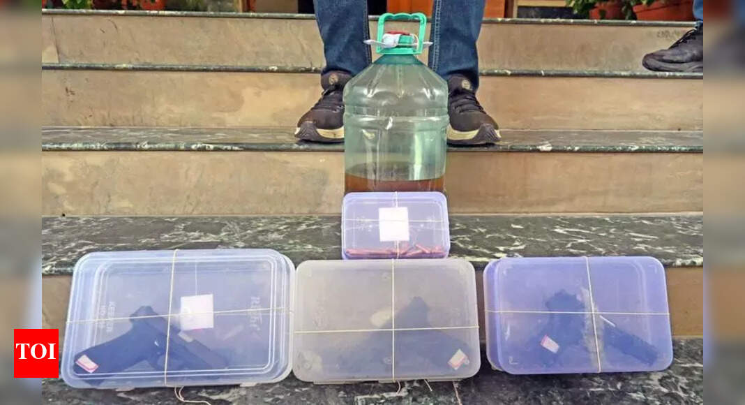 The Times of India - Politics - News Image