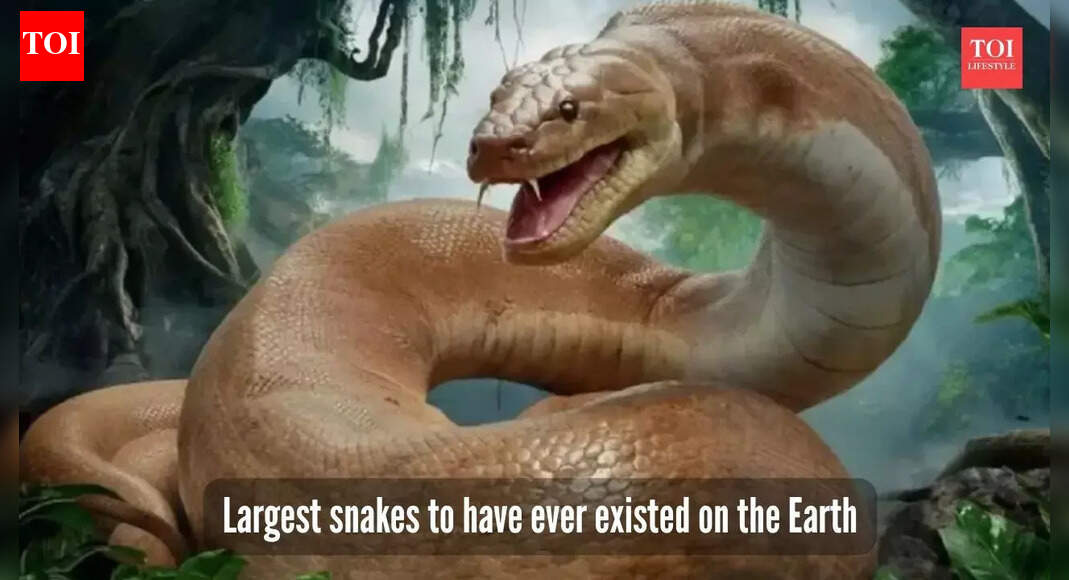 5 largest snakes to have ever roamed the Earth