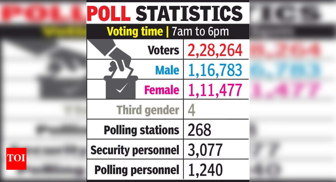 Anta elige a su nuevo representante: ¡vota y haz historia en las urnas!