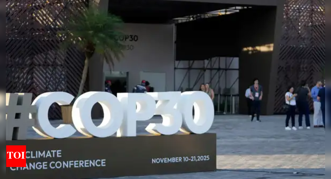 COP30 kicks off in Brazil, focus on mobilising $1.3 trillion finance