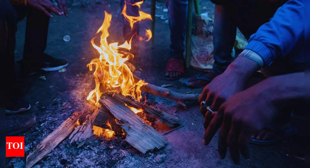 Cold wave condition in over 10 Indian states; southern states to brace for heavy rainfall
