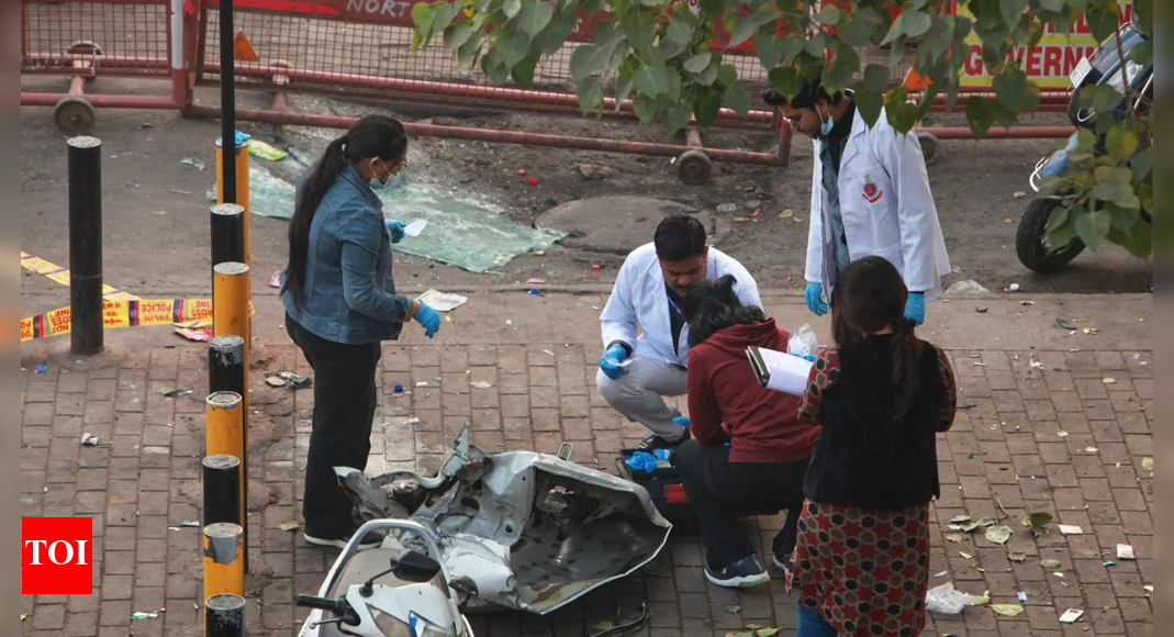 Delhi Red Fort blast: Fidayeen attack planned after Faridabad module busted — What initial probe reveals