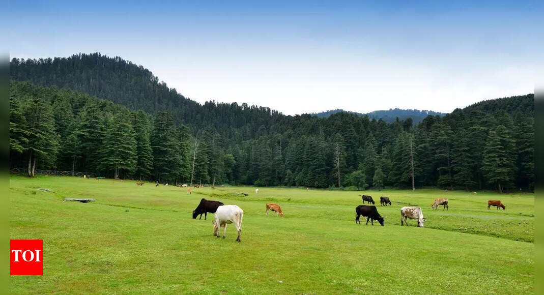 Which place is known as the Switzerland of India? Exploring the cultural and natural charm of Khajjiar