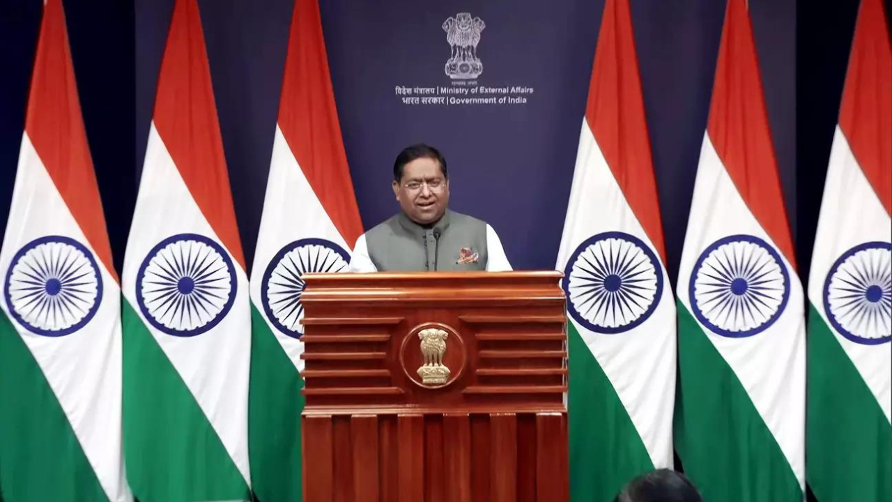  India calls out Pakistan's 'delirious' leadership over terror claims, says remark to deflect internal power grab