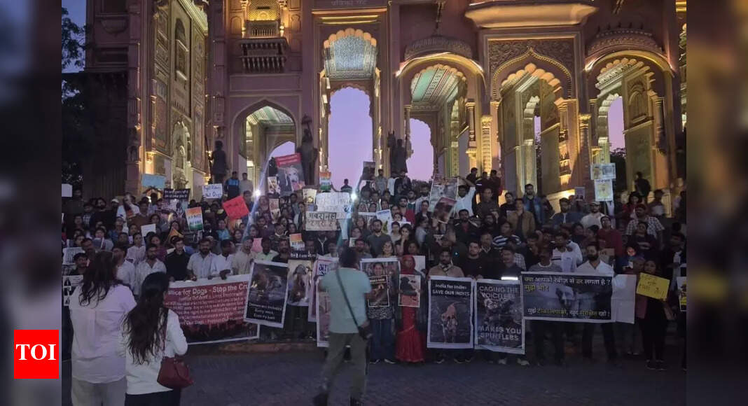 Jaipurites push back against the SC order on community dogs