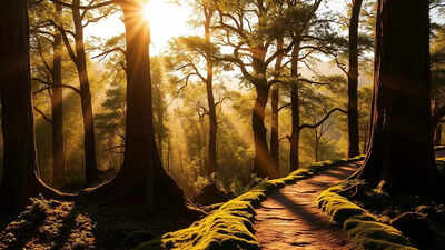 India improves its Climate Risk Index rank but continues to be among the top ten most-affected countries due to extreme weather events over the past 30 years