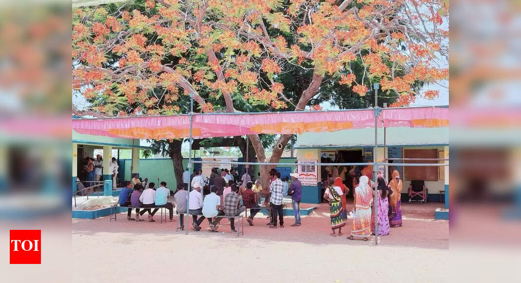 Voting peaceful as Nuapada bypoll records 81% turnout