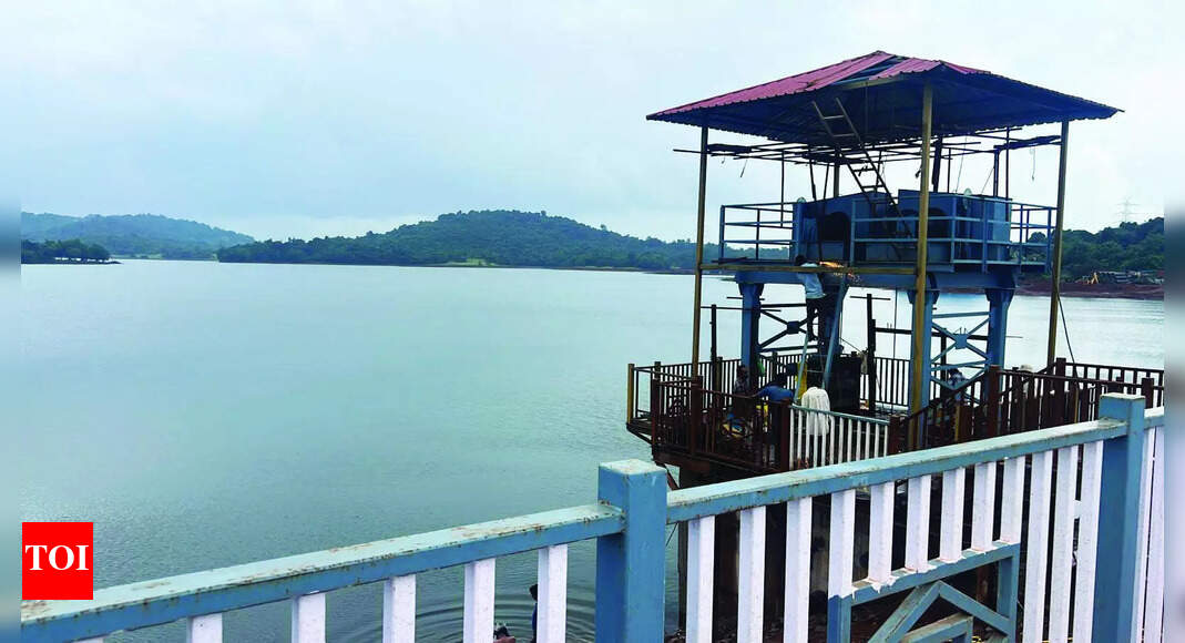 Amthane gets electric gates after four decades