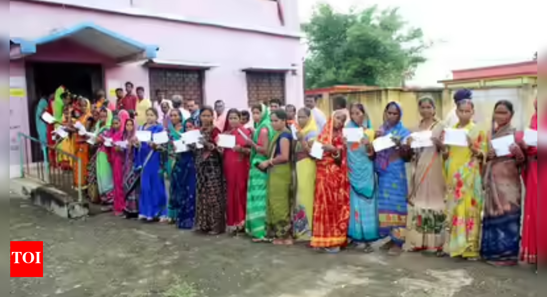 Bypolls for 8 seats see high to moderate turnout