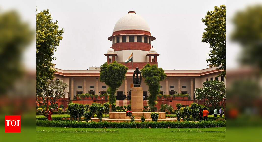 Supreme Court makes DMRB a jumbo body; asks it to demarcate morphological ridge