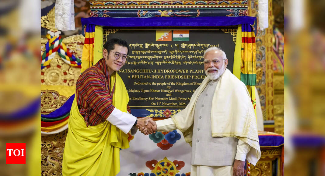<div>PM Modi in Bhutan: Fertilisers, MoUs, hydropower projects & more — All that happened during the visit</div>