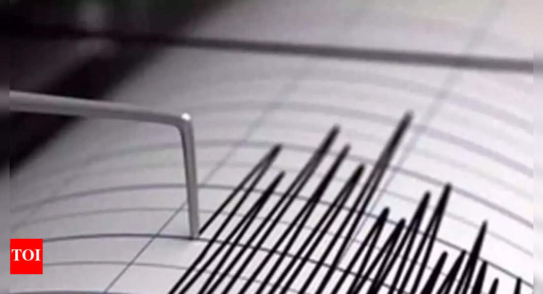 <div>3.6 magnitude earthquake shakes Assam's Dima Hasao</div>