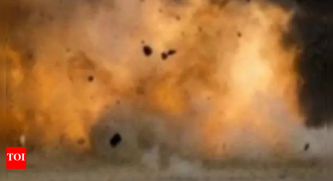 Gujarat explosion: At least 2 killed, 20 injured at pharmaceutical factory fire in Bharuch