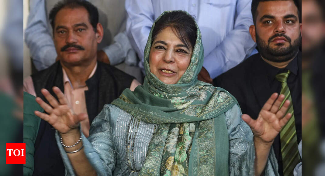 <div>'Don't harass parents': Mufti urges agencies as probe into Delhi car blast widens; condemns explosion</div>