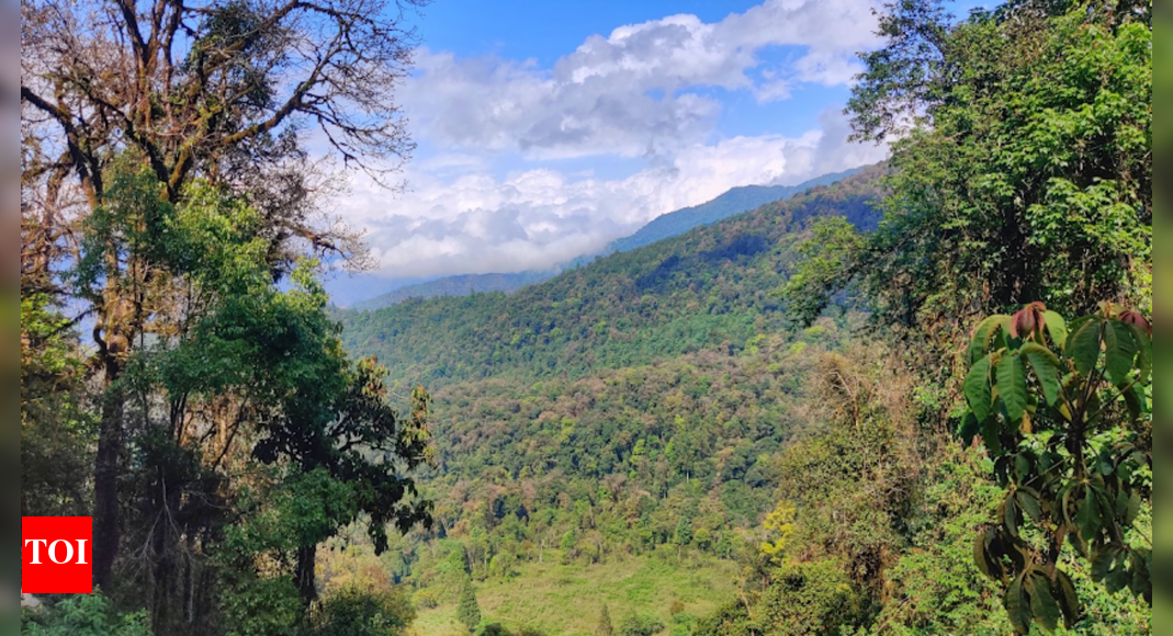 Decade-long IISc Study: Anthropogenic changes threaten eastern Himalayan birds