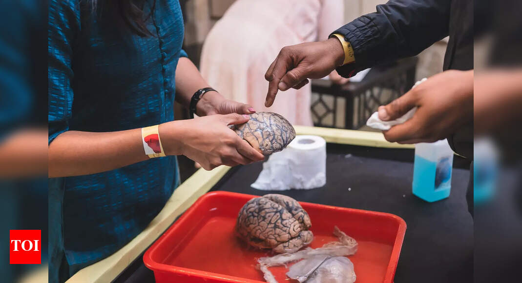 In Bengaluru, conversations on mental health find a home