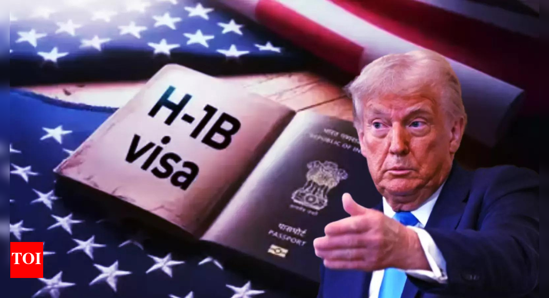 Tech rally: Infosys, TCS, Tech Mahindra shares jump as Donald Trump backs foreign talent; easing H-1B visa concerns