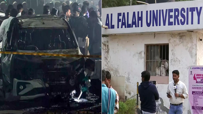 'White-collar terror module, red car': What's emerging in Delhi blast probe - key points