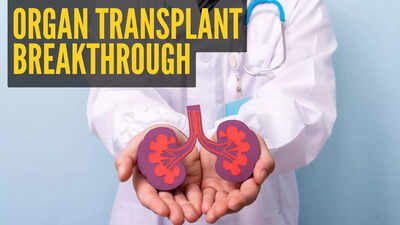 Scientists unlock ‘genetic key’ that could end organ shortages for transplant patients