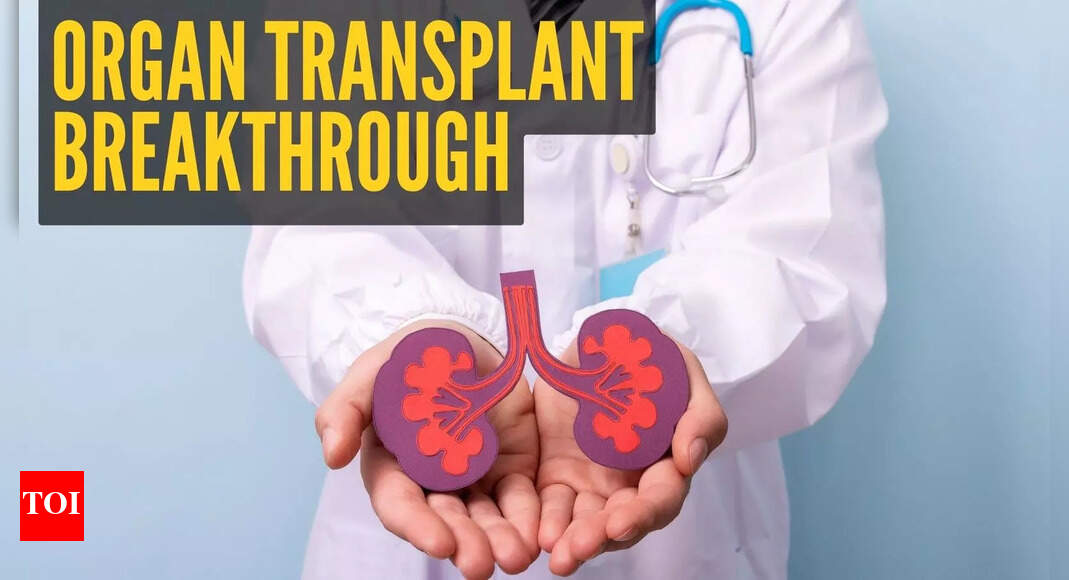Scientists unlock ‘genetic key’ that could end organ shortages for transplant patients