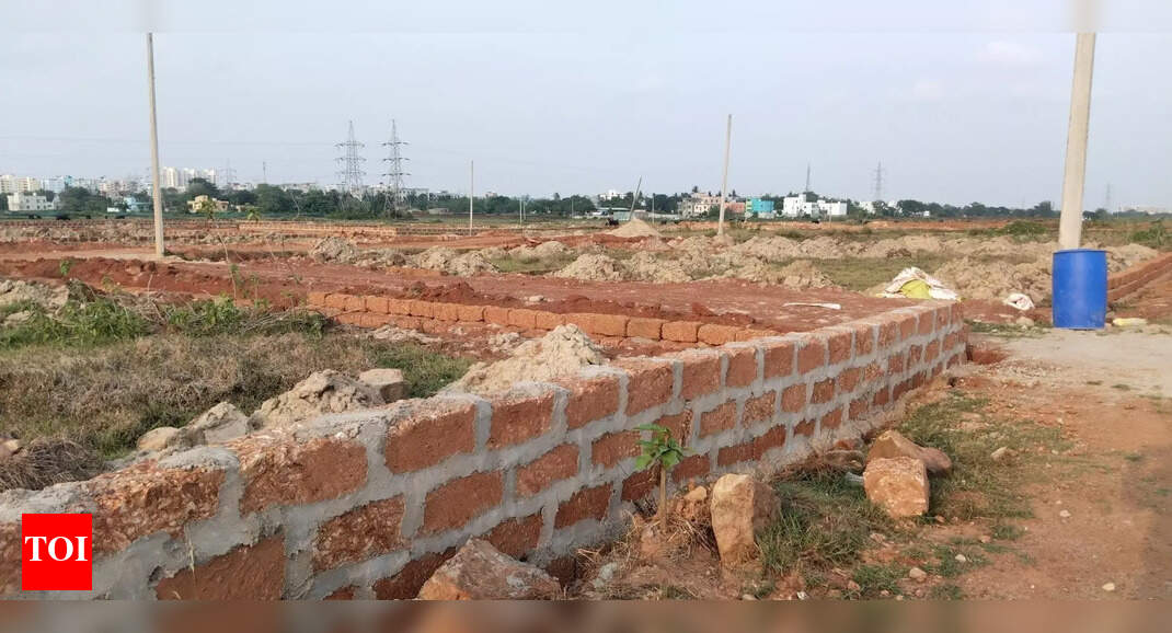 Odisha government empowers tehsildars to streamline land record updates