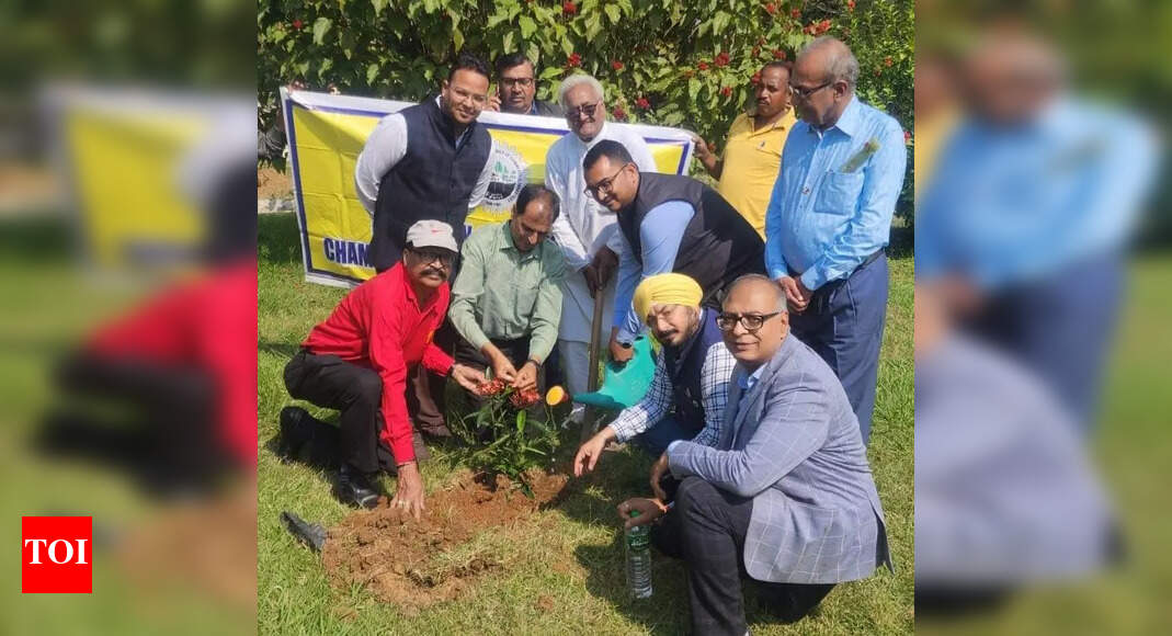 1 lakh saplings to be planted across state today