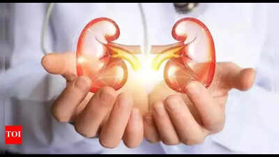 History of kidney rackets in Andhra Pradesh
