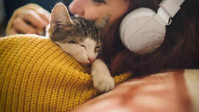 5 reasons why your cat sleeps on you and what it really means
