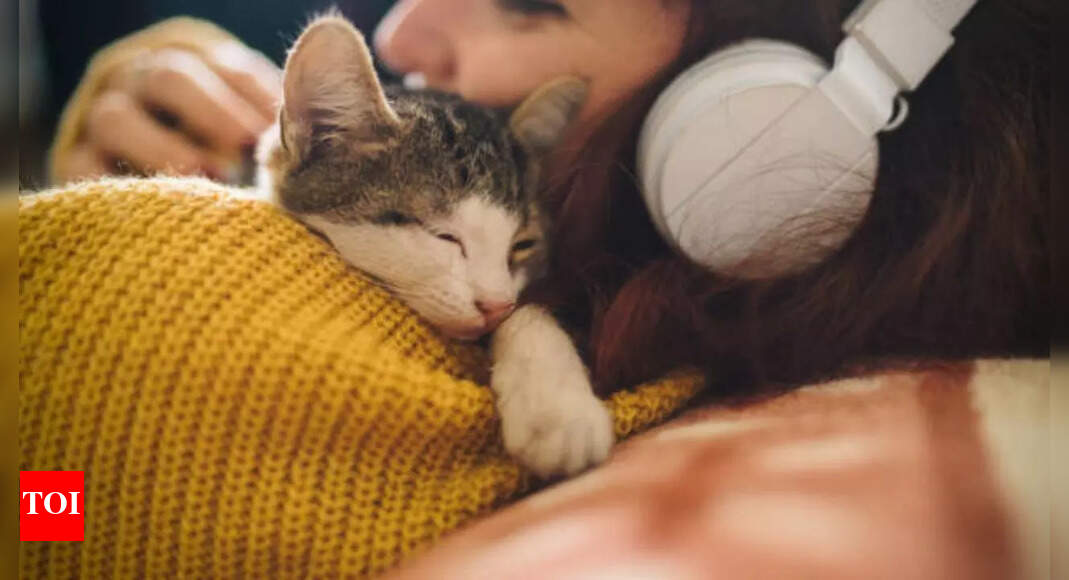 5 कारण जिनकी वजह से आपकी बिल्ली आपके ऊपर सोती है और इसका वास्तव में क्या मतलब है |