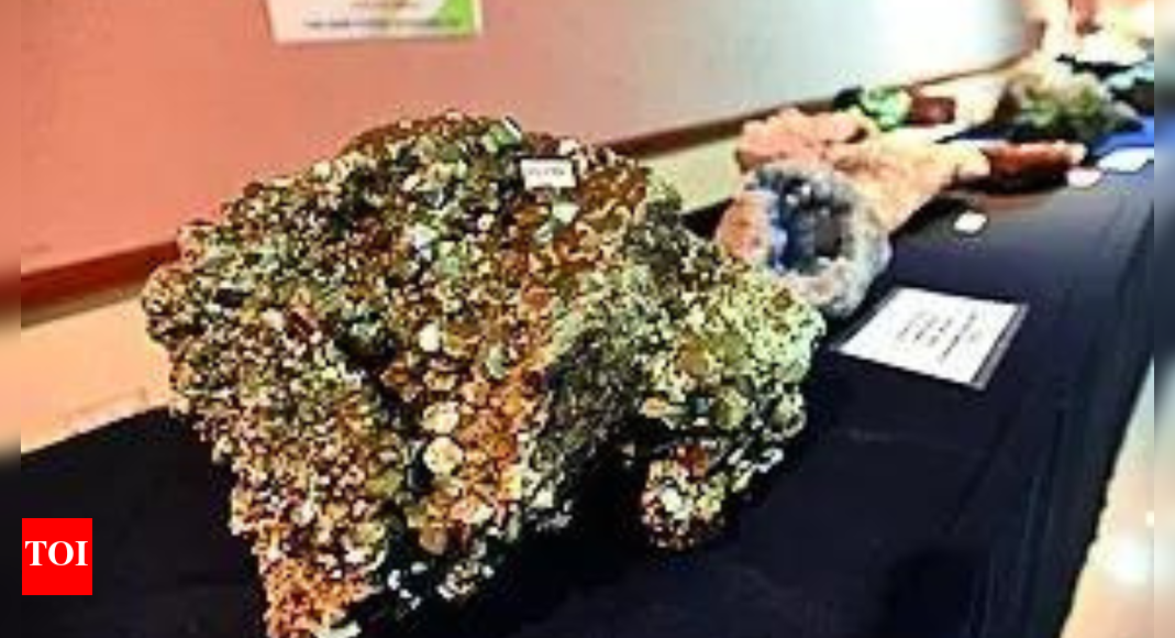 Cabinet revises royalty for four critical minerals to boost mining