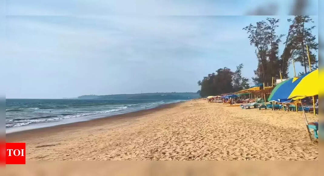3 held for harassing foreigners in Goa