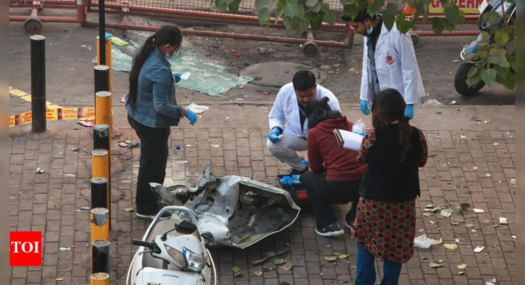 'Money dispute between docs': Delhi blast suspects planned serial strikes in 4 cities — new details emerge