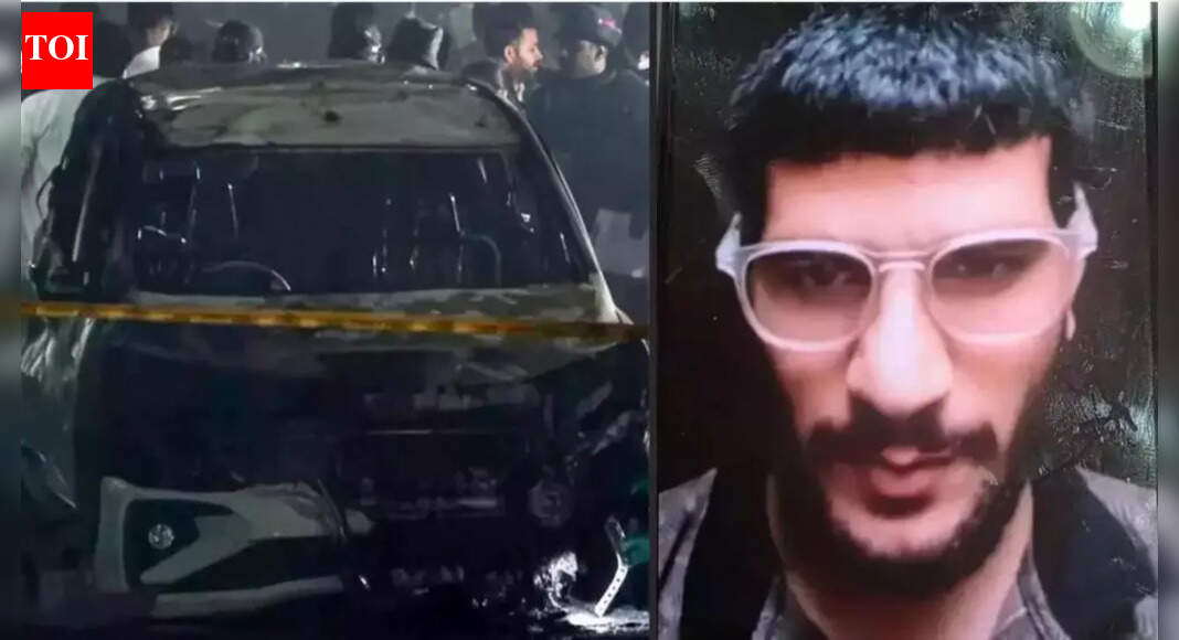 Chilling DNA match: The broken arm found near i20 car in Delhi Red Fort ...