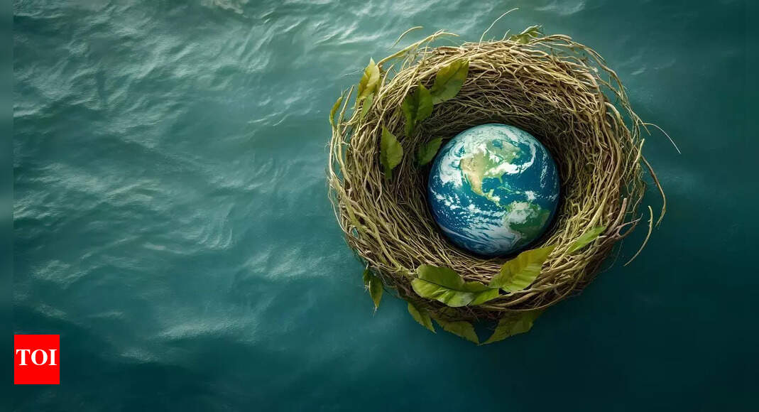 Are Earth’s oceans nearing collapse? NASA’s 2025 prediction warns of a potential 2050 climate disaster