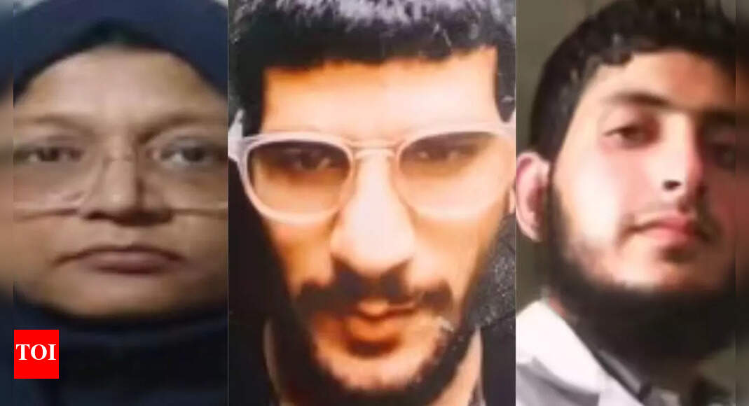 'Target Ram Temple saffron flag hoisting event': In 4 phases, terror module plotted 'spectacular attacks'; Delhi car blast was just the beginning