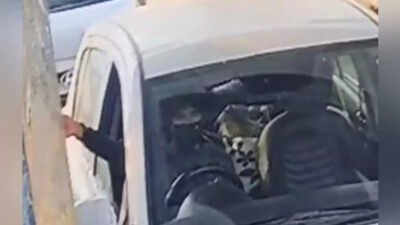 Red Fort car blast: Umar caught on CCTV entering Delhi; paid toll at Badarpur border; large bag spotted in backseat of i20