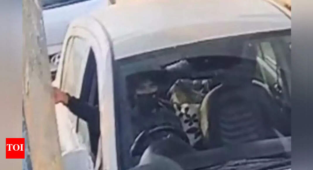 Red Fort car blast: Umar caught on CCTV entering Delhi; paid toll at Badarpur border; large bag spotted in backseat of i20