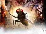 'Eega'