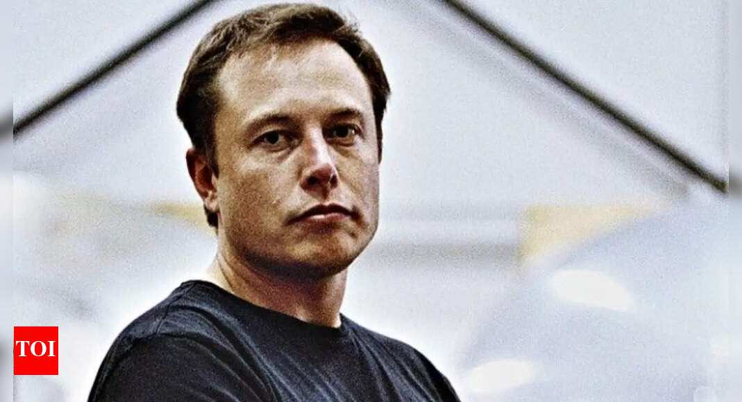 Meet the Musk Legacy: What Elon Musk’s 14 children are doing now