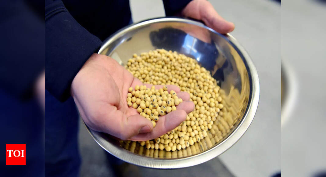 US-China tensions: Beijing brimming with soybean after Trump-Xi meeting – Why it is still not a green flag for Washington – The Times of India